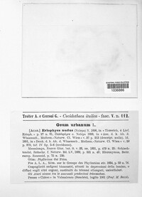 Image Associated With the Occurence